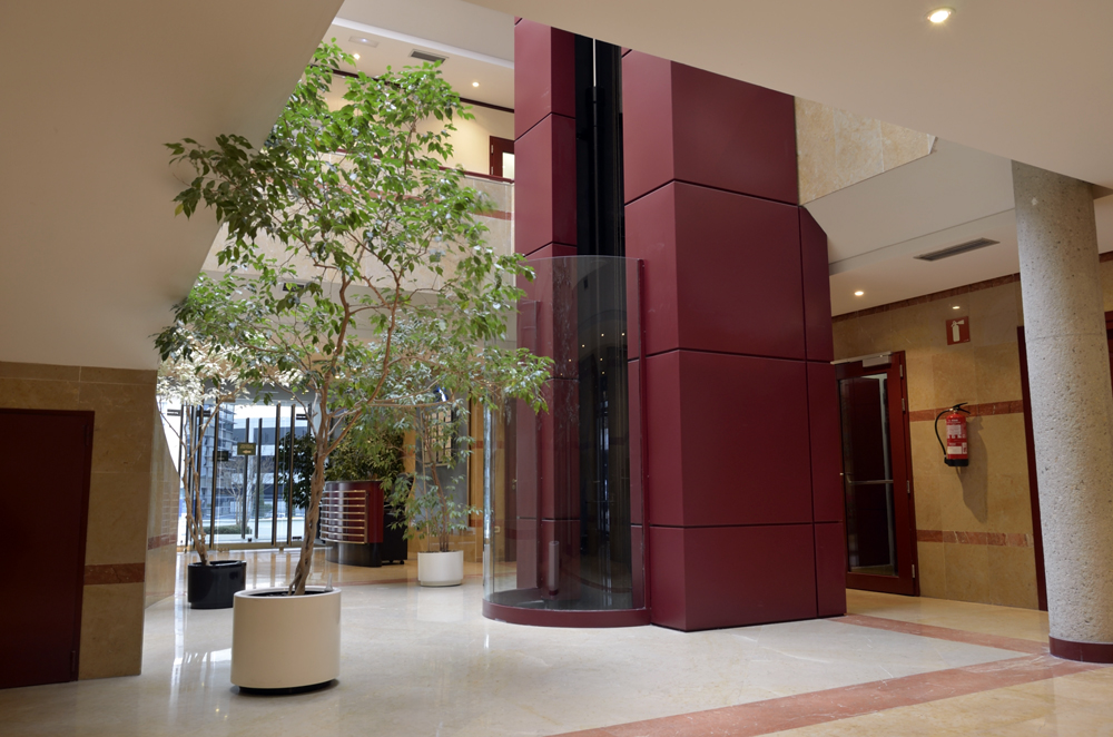 Musgo, 1 5 Musgo, 1 5